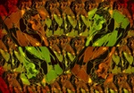 064.jpg