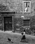 060 - La Ragazza che Guarda - Massimo Valicchia - 26 voti