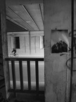 035 - Big Feet - Simone Ridi - Sesto Fiorentino- Sesto Fiorentino
