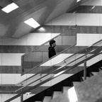 412 - Alienazione Metropolitana - Paolo Perbellini - Tokyo (Giappone)
