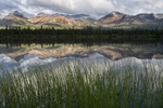 foto - 014 - Denali Lake - Ismaele Benati - voti 11